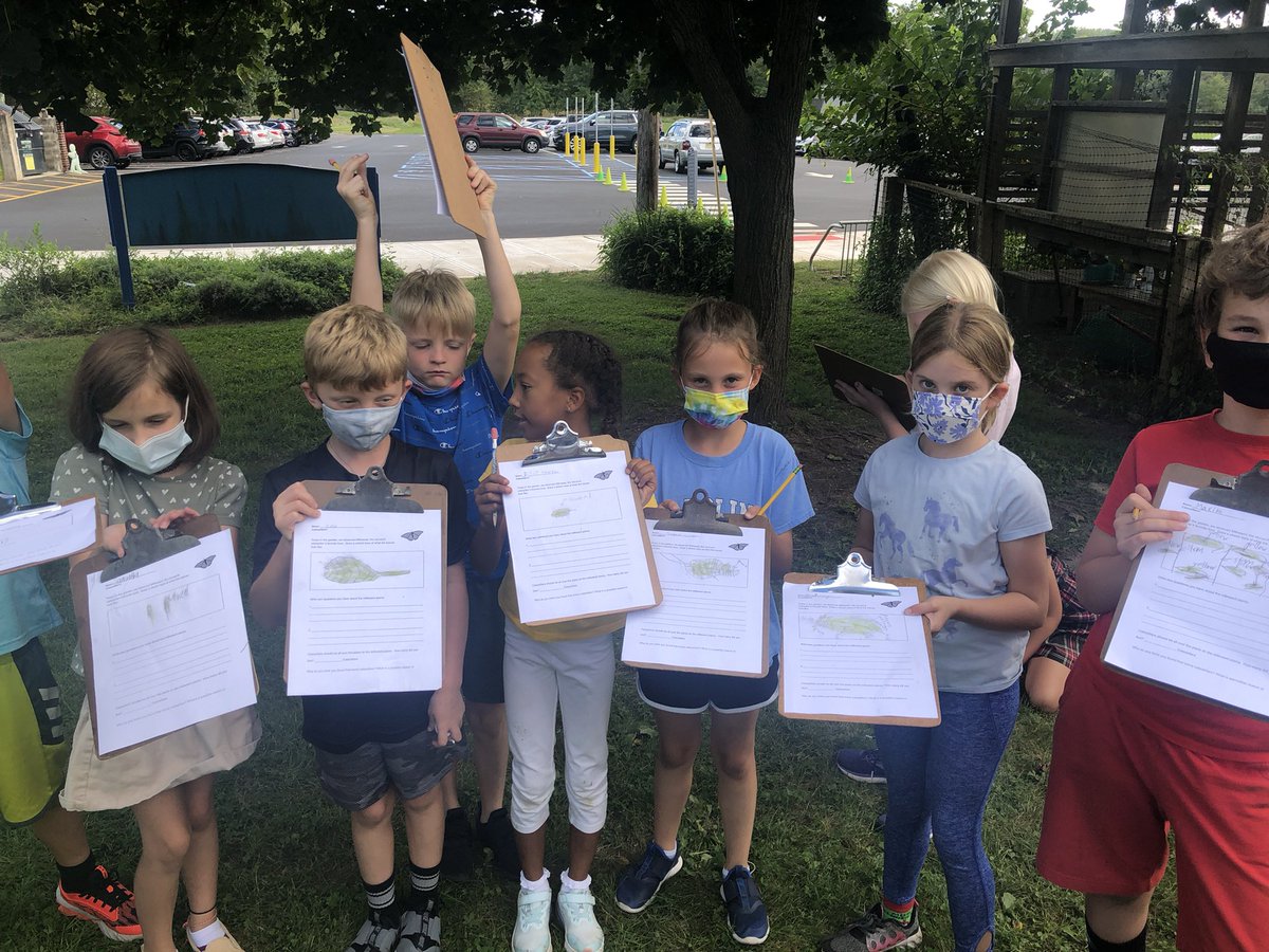 When you are doing scientific drawings outside and want to color milkweed in, and you figure out that natural pigment from grasses can act as a “marker”… #thisiswhyIteach #outdoorlearning <a href="/HESVerticalFarm/">Hopewell Elementary Vertical Farming Initiative</a>