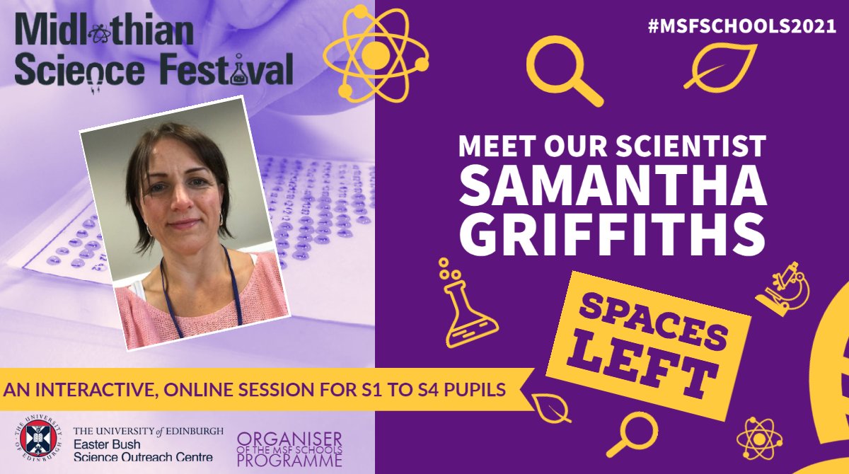 EBSOClab's tweet image. Your @midgov  S1 - S4 pupils can talk with Samantha Griffiths, she is a virologist which means she works with viruses!
✔️Pre-session activities
✔️Online &amp;amp; interactive
✔️Chat with a professional scientist

Book now! edin.ac/3CRVsDl  #MSFschools2021