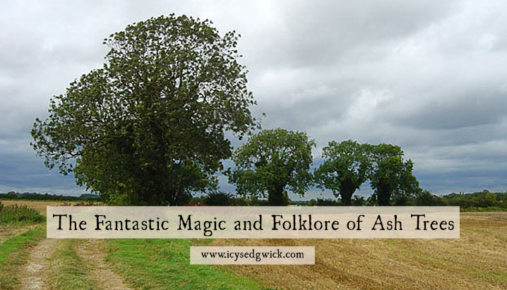 Check out The Fantastic Magic and Folklore of Ash Trees icysedgwick.com/ash-trees-folk… #MondayBlogs