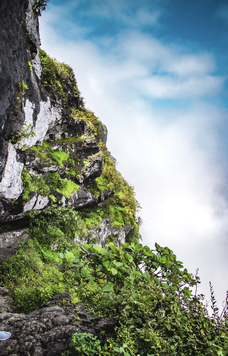 Oman - Shaat 🇴🇲🌴