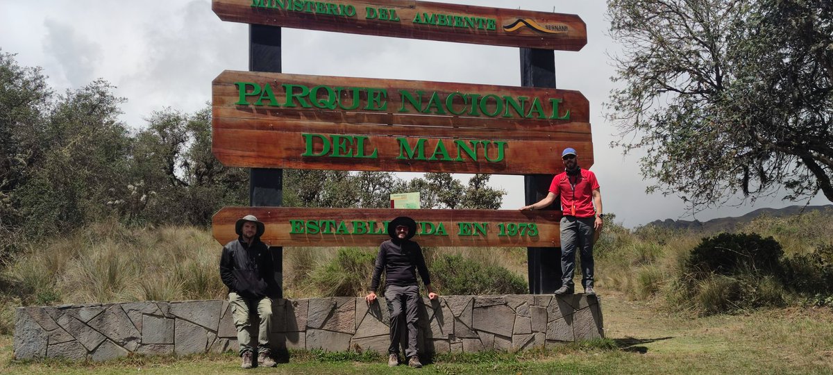 S_Martin_Bravo's tweet image. First contact with the montane cloudy forest in the eastern slopes of the #Andes, Manu National Park. These landscapes and huge #sedges made our day. Look at Pablo's thrilled face after collecting the first #Carex for his Ph.D. Field #Botany can make you very happy!!!😃😃🌱🌱