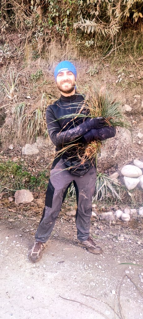 S_Martin_Bravo's tweet image. First contact with the montane cloudy forest in the eastern slopes of the #Andes, Manu National Park. These landscapes and huge #sedges made our day. Look at Pablo's thrilled face after collecting the first #Carex for his Ph.D. Field #Botany can make you very happy!!!😃😃🌱🌱