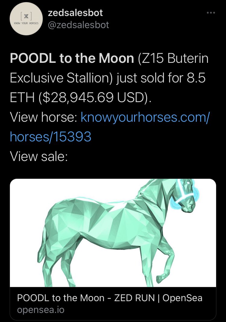 EcsZed's tweet photo. GM Zed Heads

Don’t forget tomorrow we will be streaming and going live with @NewCloseRacing to discuss their up &amp; coming stable, recent massive purchase, as well as strategy + more! This is one I wouldn’t want to miss😁

8pm est on Twitch @ https://t.co/wjf4IXeRvr

@zed_run https://t.co/AALkYmjE9l