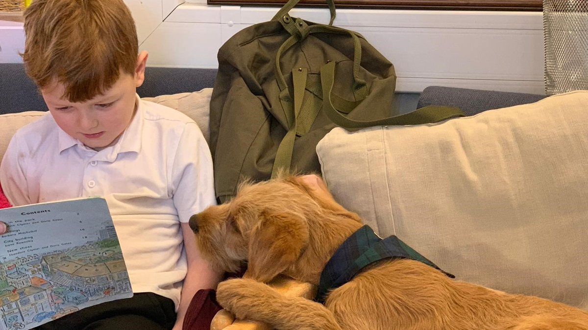 #Glyndwr @WGUPsychology's study with six primary schools in North Wales found that children’s motivation and engagement increased when reading to a dog.

Children seemed confident when reading to their pawsome reading mates, and experienced improved wellbeing.

📷 Ysgol <a href="/SanSior/">Ysgol San Siôr</a>
