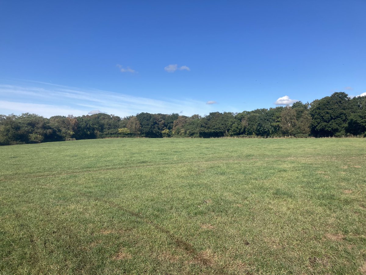 brough_neil's tweet photo. Food for bees 🐝 and loads of trees on a sunny day on the farm @ArlaFoodsUK https://t.co/UOaJ9t8AfL