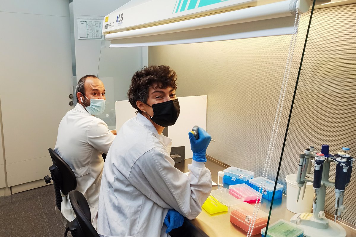 Lab work begins! 👩‍🔬🧪Soon we'll know fieldwork results 🐣 #gulls #Salvora <a href="/CIM_Uvigo/">CIM UVigo</a>