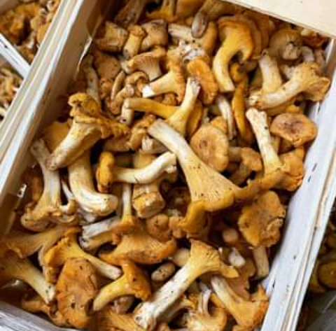 Freshview Foods tweet media