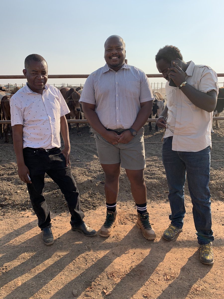 JamaKaSlwaneh's tweet photo. My Zambian Brothers. Thanks For The Visit My Good Friends ๐ฟ๐ฒ
#AfricaForAll
#YoungAndHappy
#YoungAndFarming https://t.co/WA4hDk4gXm