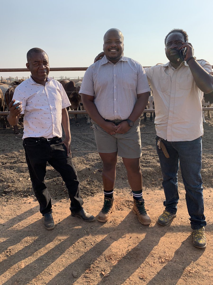 JamaKaSlwaneh's tweet photo. My Zambian Brothers. Thanks For The Visit My Good Friends ๐ฟ๐ฒ
#AfricaForAll
#YoungAndHappy
#YoungAndFarming https://t.co/WA4hDk4gXm