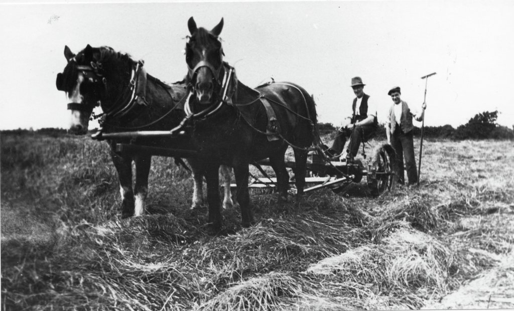 HLLancashire's tweet photo. The #HarvestMoon shows its face tonight. For several evenings the moonrise comes just after sunset, resulting in bright moonlight in the early evening. This traditionally helped farmers to harvest their crops. This image of #BamberBridge farmers is from the #RedRoseCollection https://t.co/8LgQDC4t9D