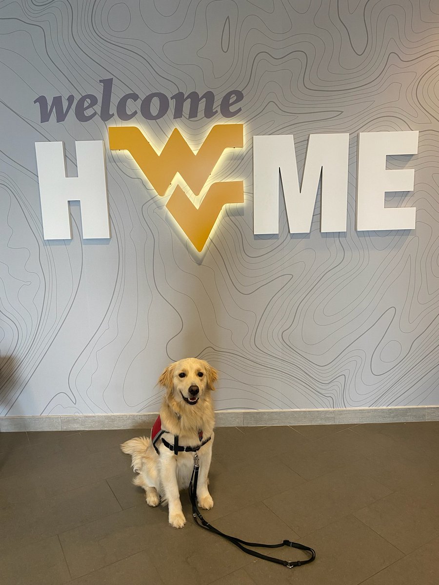 Meet Hearts of Gold’s newest #ServiceDogTeam! Congratulation John and Partner!!