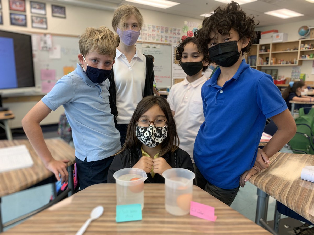 Ilona Nixon tweet media