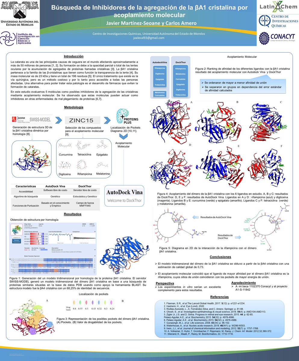 JavicoAzulgrana's tweet photo. Hola @LatinXChem, este es mi trabajo ‘Búsqueda de inhibidores de la agregación de la BA1 cristalina por acoplamiento molecular', #LatinXChem, #LXChemBio, #BIO018 https://t.co/KmNxy3uelo