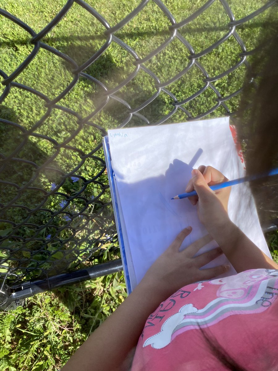 grade3vsps's tweet photo. We’re enjoying some time outside drawing pictures of the trees in our community. We noticed differences between the trees. “Leaves can be all different shapes and sizes” shared one of our friends. #grade3 https://t.co/wDEalE7jNN