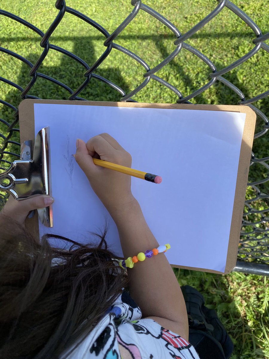 grade3vsps's tweet photo. We’re enjoying some time outside drawing pictures of the trees in our community. We noticed differences between the trees. “Leaves can be all different shapes and sizes” shared one of our friends. #grade3 https://t.co/wDEalE7jNN