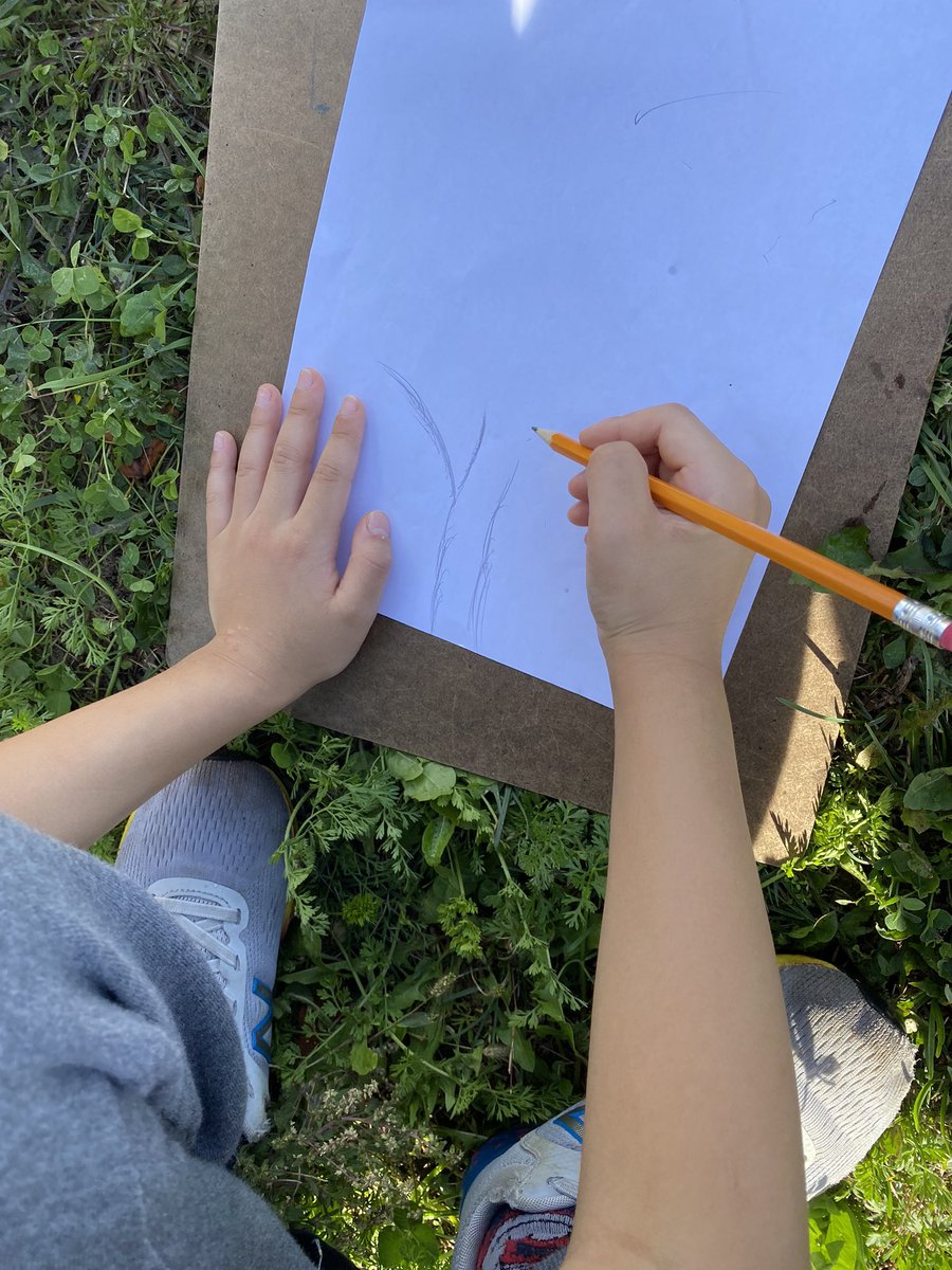 grade3vsps's tweet photo. We’re enjoying some time outside drawing pictures of the trees in our community. We noticed differences between the trees. “Leaves can be all different shapes and sizes” shared one of our friends. #grade3 https://t.co/wDEalE7jNN