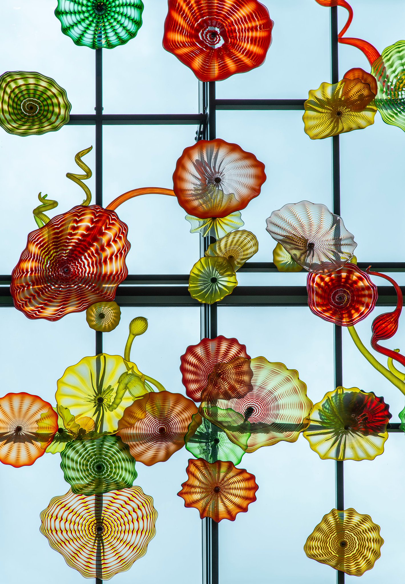 Happy birthday, Dale Chihuly!   