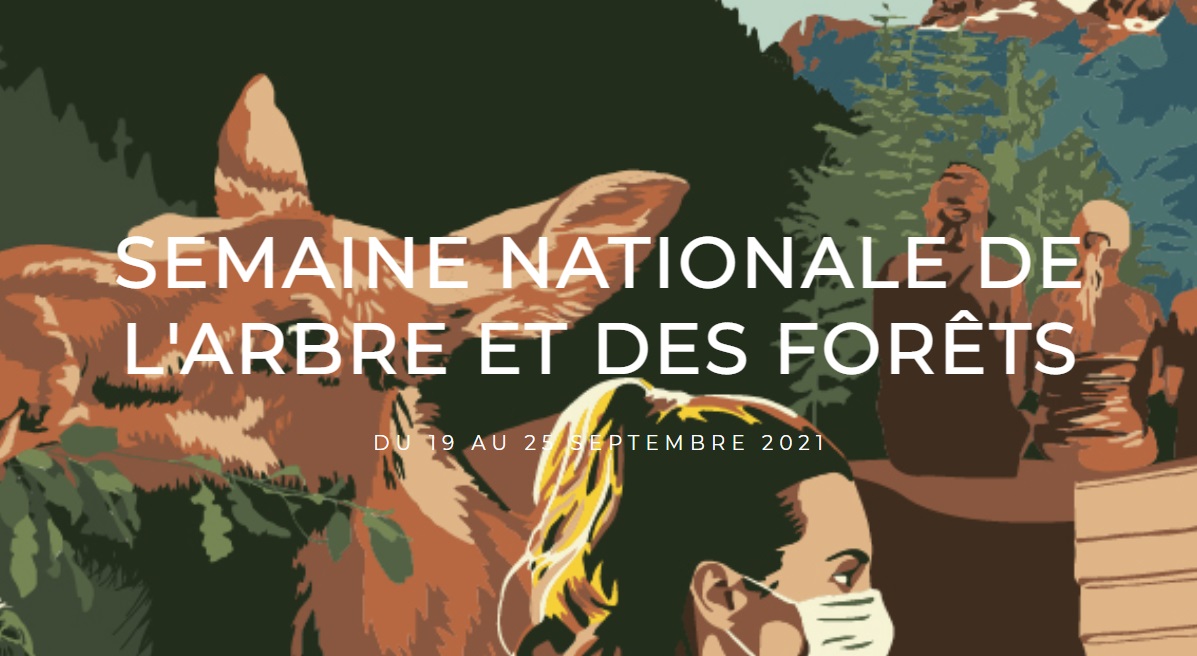 Denis Fugère tweet media