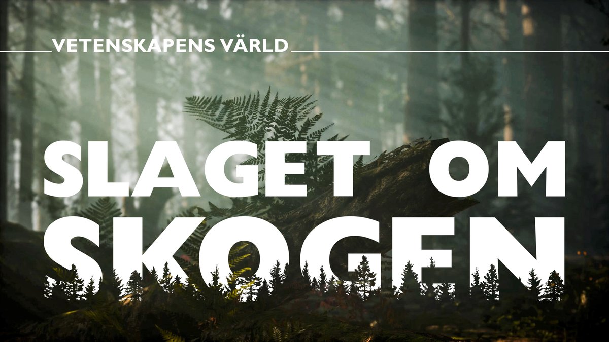 Vår stora satsning Slaget om skogen börjar sändas i kväll på SVT2 klockan 20:00. Kolla då eller på SVTPlay.  
bit.ly/39jJKEj