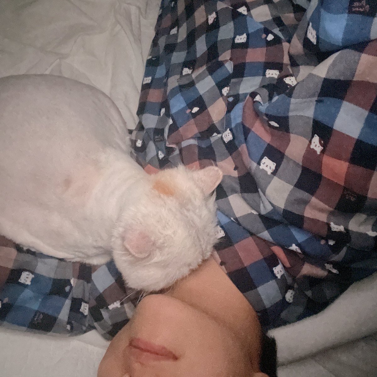 그냥 둘 다 부럽다