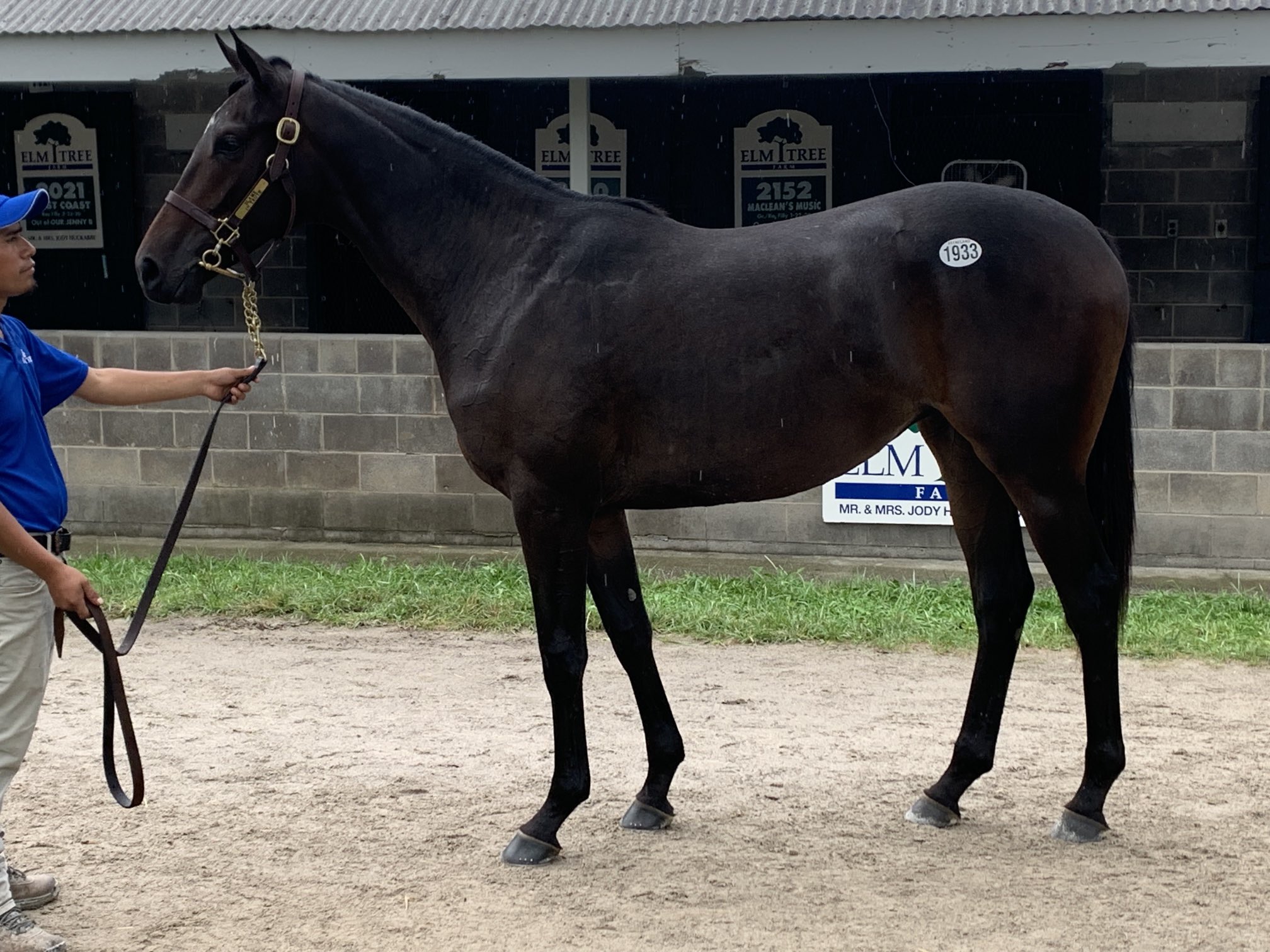 Elm Tree Farm Elmtreeky Twitter