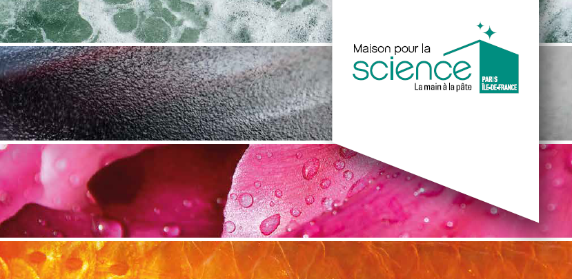 💡#Formationcontinue Notre équipe vous a concocté 16 formations aux petits oignons👌#énergie #biodiversité #climat #maths #pandémies #chimie
maisons-pour-la-science.org/node/1489556
🚨Profs du 1er/2nd degré <a href="/Academie_Paris/">Académie de Paris</a>, les inscriptions c'est sur GAIA avant le 26/09 !