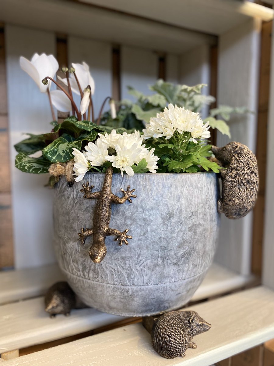 RHS Chelsea Flower Show - Day 1 Press Day! So happy to be back, this is our 2nd year at the show and we can’t wait to greet all our customers tomorrow! <a href="/The_RHS/">The RHS</a> <a href="/PottyFeet/">Potty Feet</a> <a href="/JardinopiaLtd/">Jardinopia Ltd</a> <a href="/CaneCompanions/">Cane Companions</a>