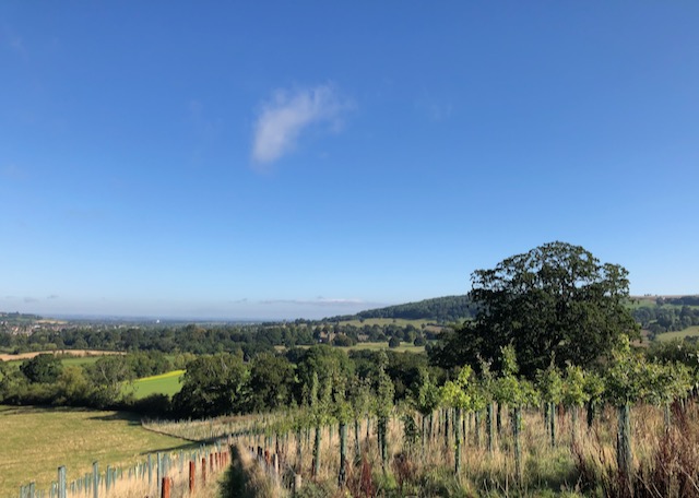 Winchcombe Walking Festival 1-3 October is less than two weeks away. Situated in the Cotswold Hills with lots of heritage. Come and discover on one of our walks. Be quick as some walks have sold out. shorturl.at/chBSV #Cotswolds # Walking