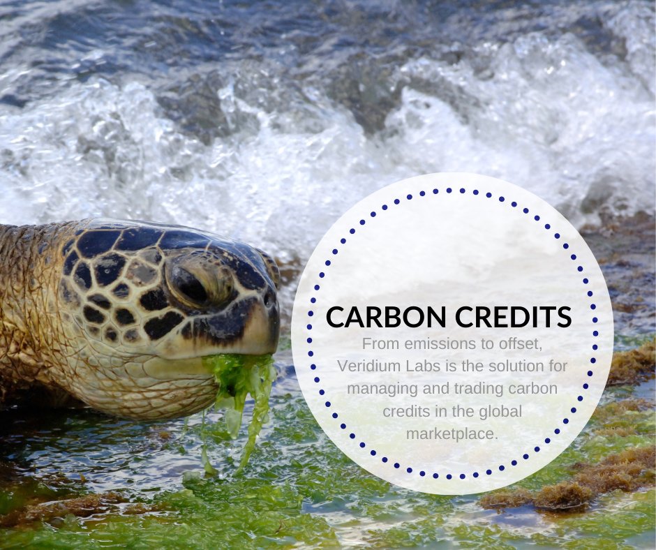 The goods and services we consume daily don't commonly include the price of the adverse environmental impacts embedded within them. Environmental offsets, such as carbon credits, can reverse the environmental impacts. How we are revolutionizing them: veridium.io