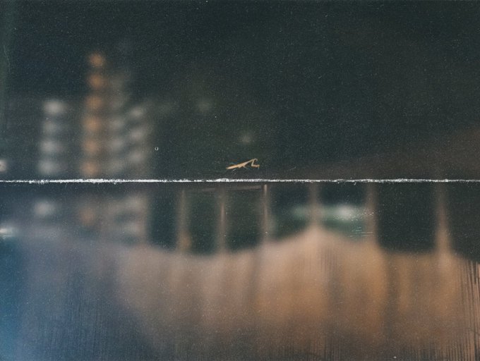 Yesterday I saw this 'little' fella on my balcony! And by little, I mean a HUGE mantis! It was almost<a href="/tag/anime"class="tags"><span>#anime</span></a><a href="/tag/cammodel"class="tags"><span>#cammodel</span></a><a href="/tag/camgirl"class="tags"><span>#camgirl</span></a><a href="/tag/chaturbate"class="tags"><span>#chaturbate</span></a><a href="/tag/chatur"class="tags"><span>#chatur</span></a>