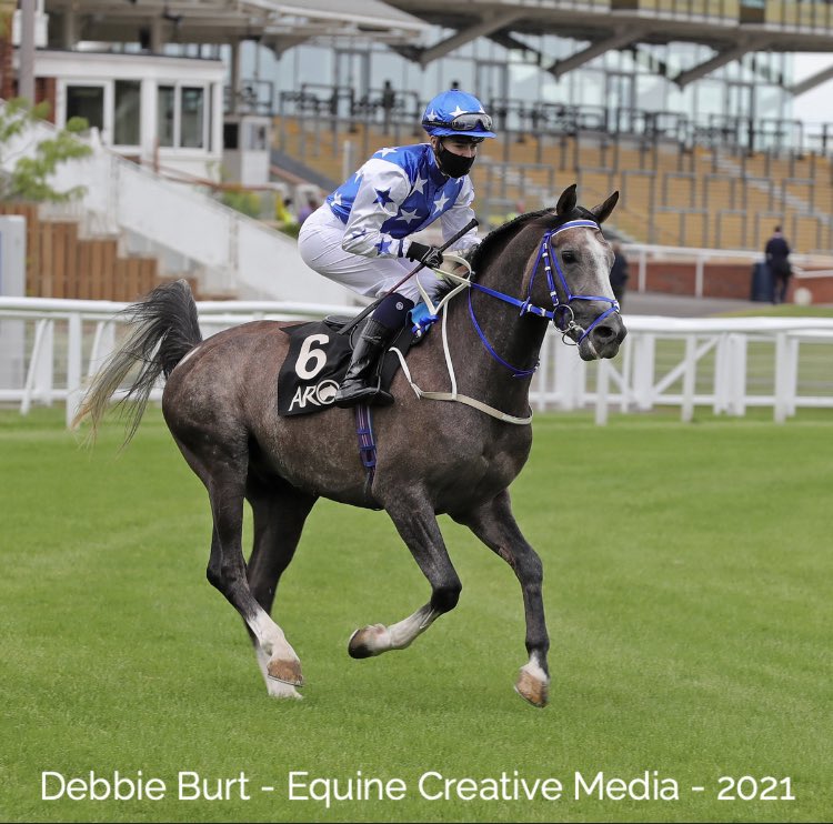 ARO_Racing's tweet photo. #emiratesbreeders hcp 4.57pm @wolves #3 ALGHADEER @JPOwenRacing @ShadwellStud @hissa_hamdan @richardjhills now ridden by @LeveySean whilst #7 AKALA SUNBIRD @CollingtRacing @AkalaArabians is a #nonrunner @RacingPost @SportingLife @ArabianRH @EquineMediRec https://t.co/PYZ9pcoAoe