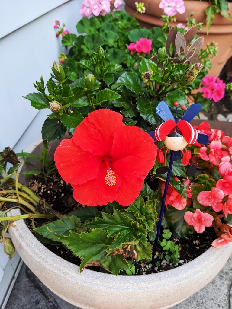 Green Velvet tweet media