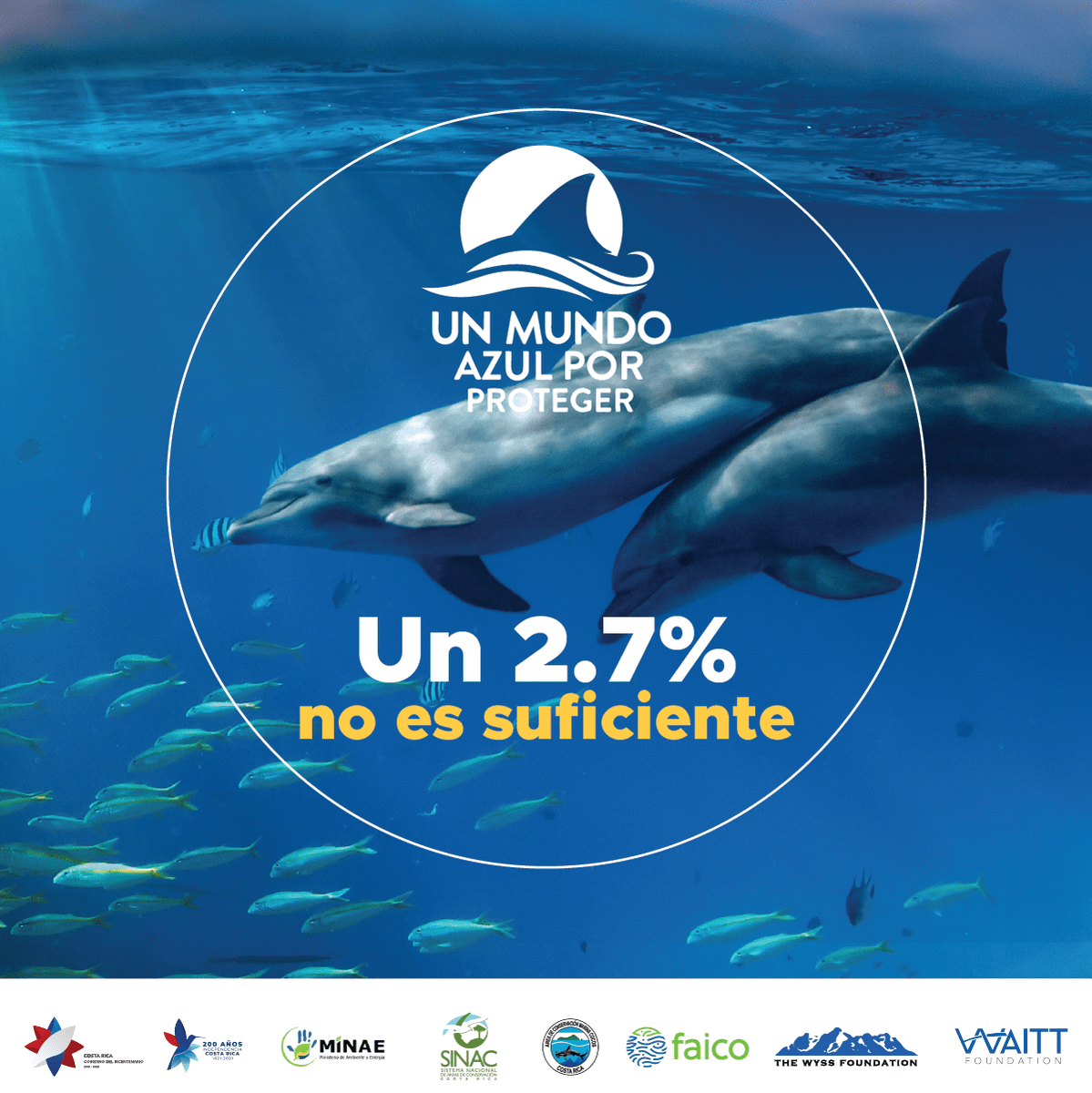 Nuestra vida marina te necesita.
En Costa Rica, únicamente el 2.7% del territorio marino se encuentra bajo alguna categoría de protección marina. Necesitamos tu apoyo para que este porcentaje crezca y podamos darles un mejor futuro a nuestros tesoros bajo el océano.