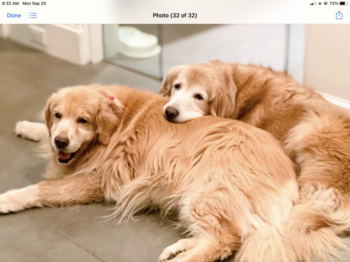 Lisa Vanderpump tweet media