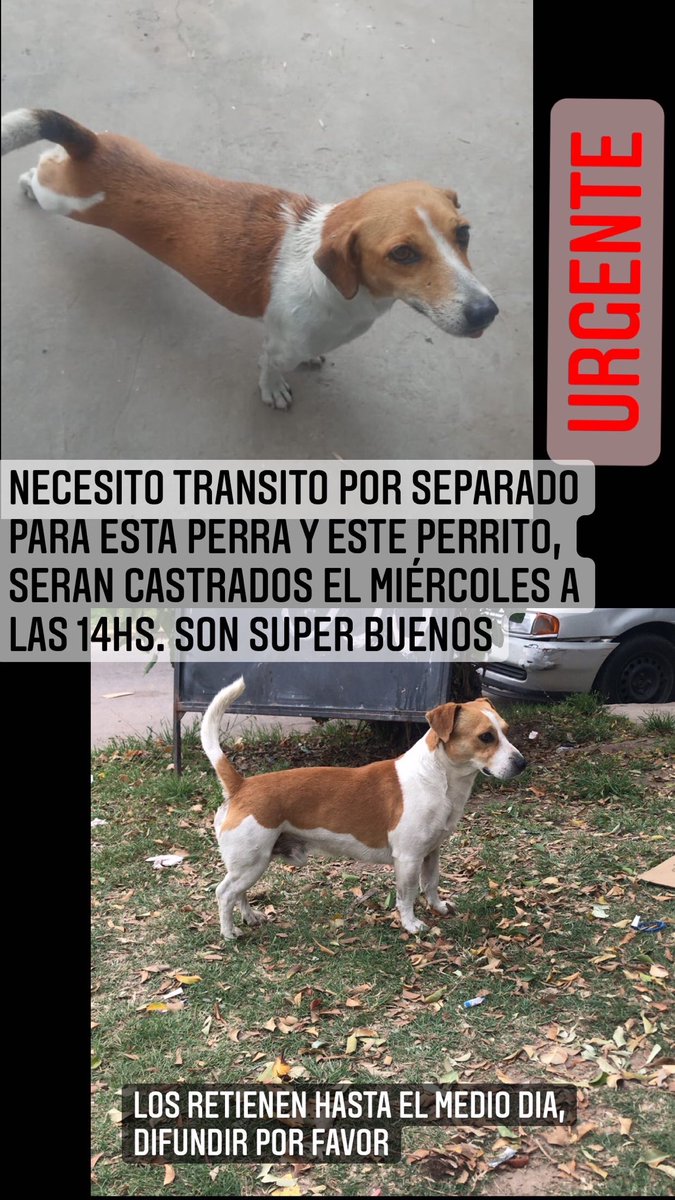 DIFUNDIR !!!