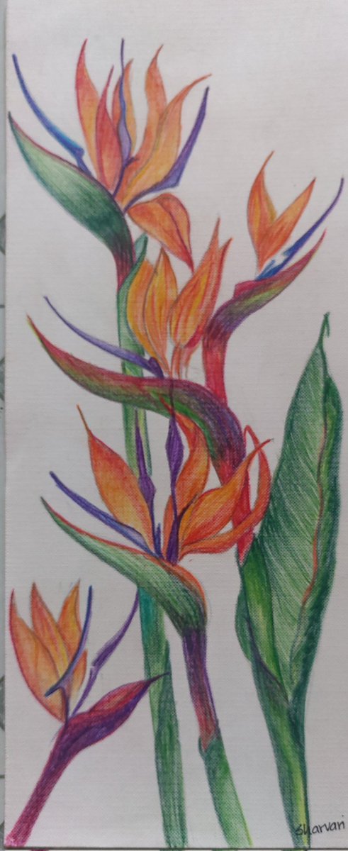 Sharvari Pitke tweet media