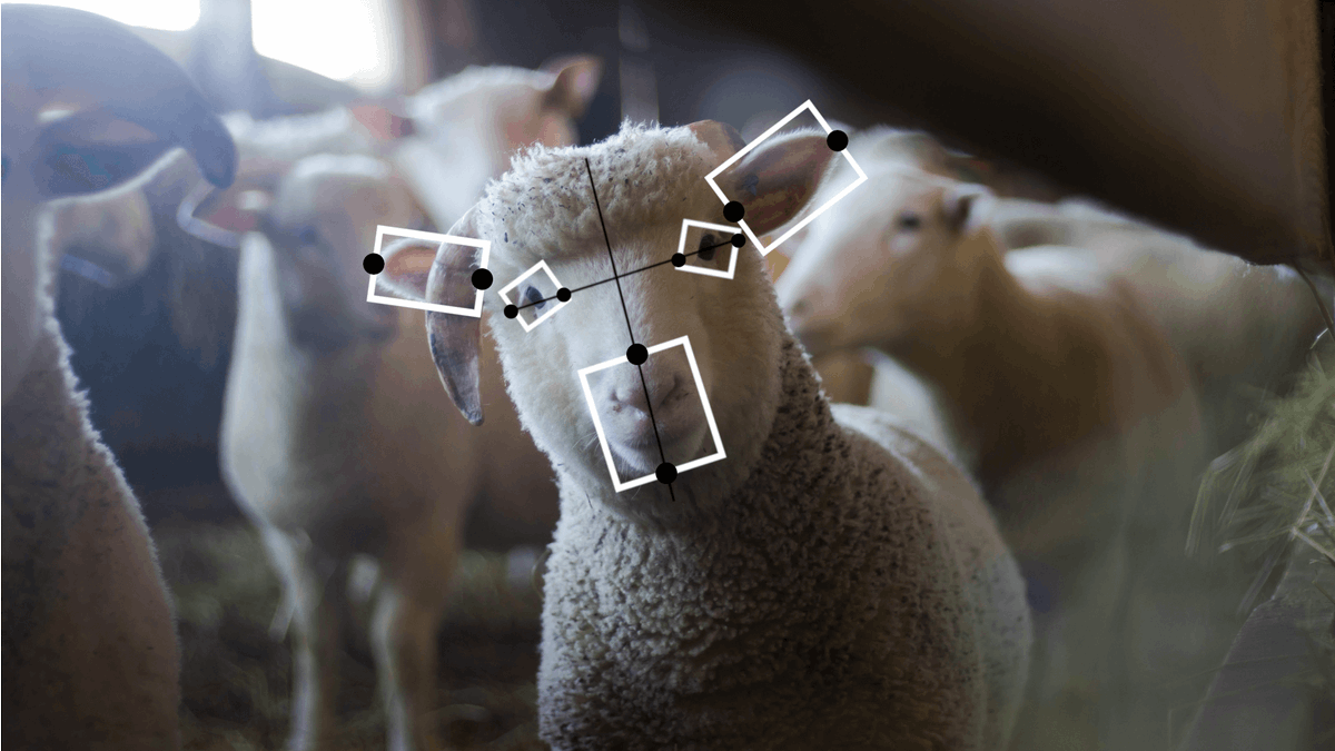 i4animal's tweet photo. SAVE THE DATE: Webinaire "L'intelligence artificielle au service de l'animal" (sauvage, élevage, domestique)
Audience: Startups, Asso, ONG, Scientifiques &amp; Prof du milieu animal
Obj : Saisir les opport. que représente l'#IA pour le monde animal
#A4AIA ➡︎ https://t.co/5itql9KFNc https://t.co/33J1tyLy6G