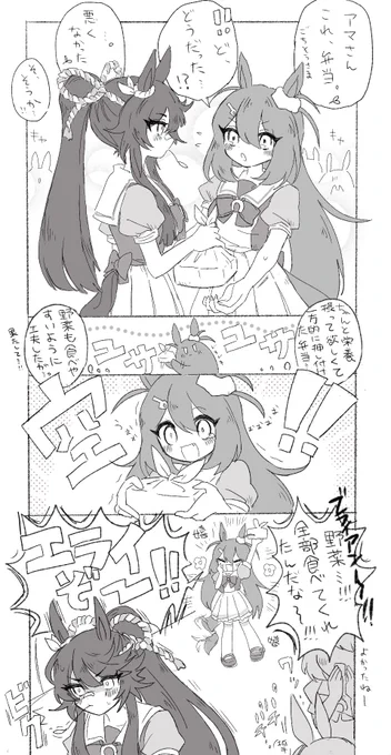 初めてお弁当作ったよ🍱 