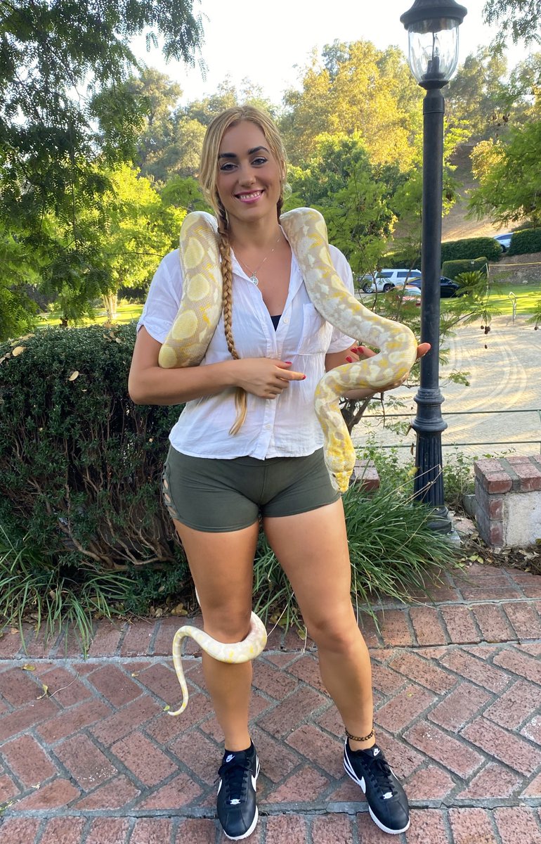 New projects with exotic animals and more to come💯 this is a #lavenderpython #python 💛 He seemed to like me☀️