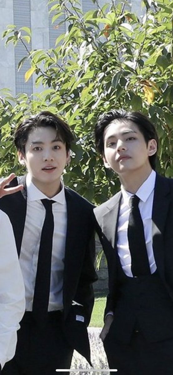 แมว                                                  ทาสแมว