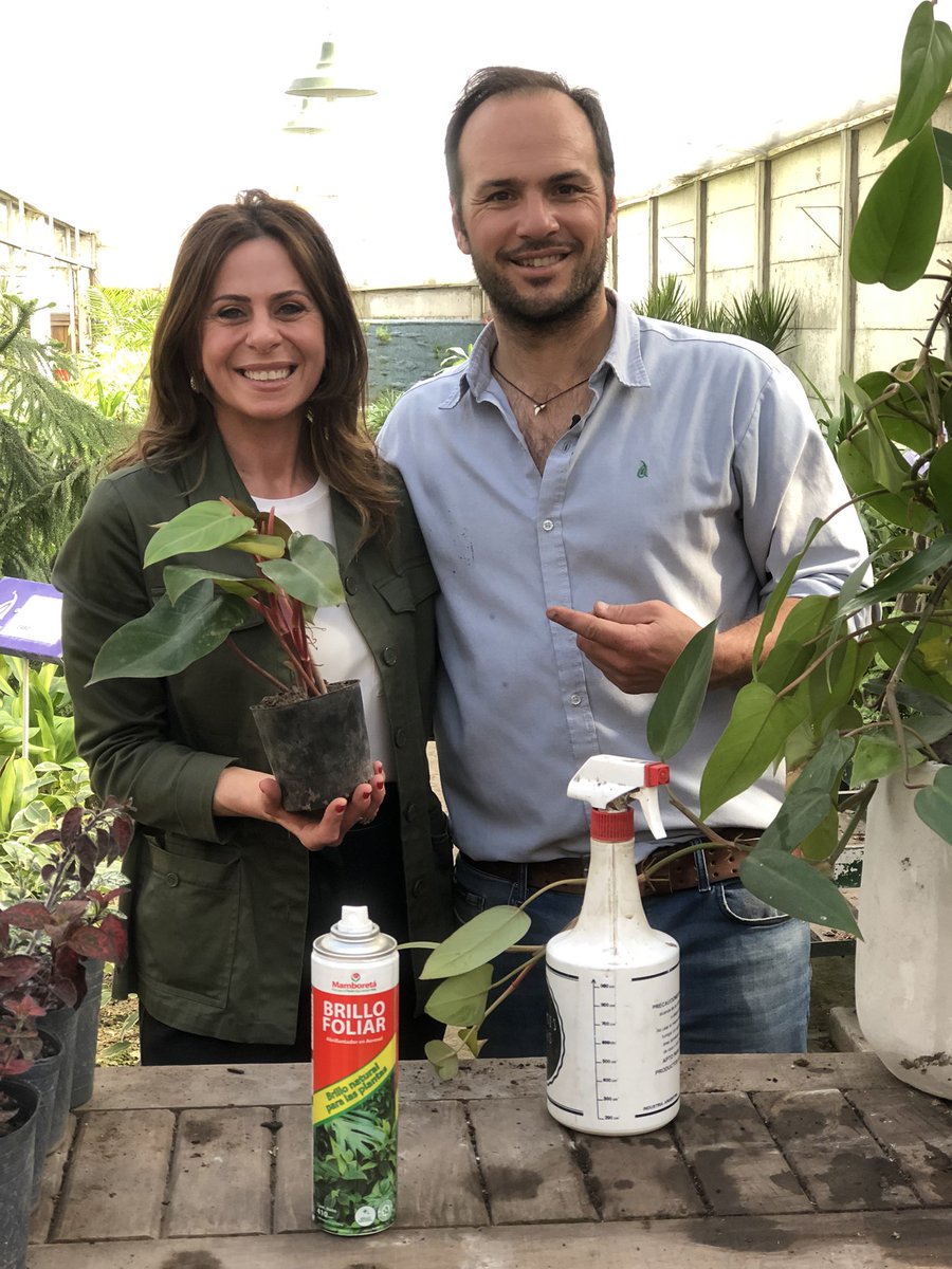 Euge Maiolino tweet media