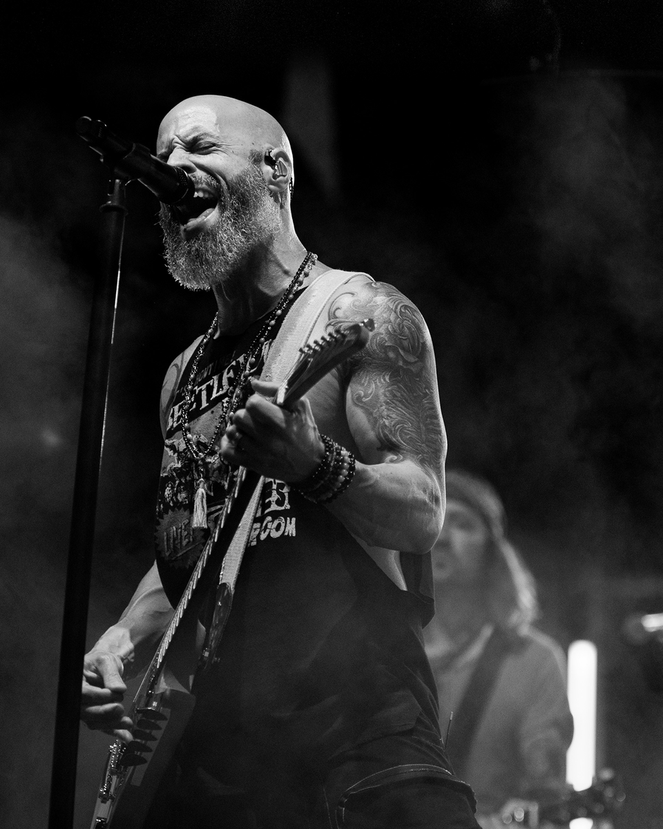 Daughtry_News's tweet image. “Dearly Beloved” is holding strong at #1 on the iTunes  #rockcharts 🤯 GIGANTIC THANKS to everyone for supporting 🙏🤘🙏🤘🙏  Let’s keep it going!!! 🚀

daughtry.ffm.to/dearlybeloved 💜

#daughtry #newalbum #newrecord #newmusic #dearlybeloved #heavyisthecrown