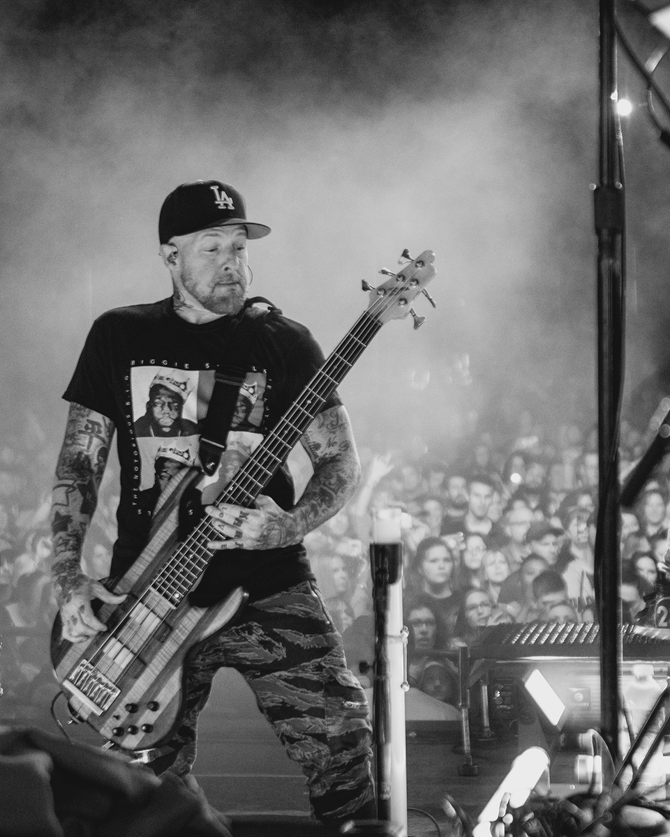 Daughtry_News's tweet image. “Dearly Beloved” is holding strong at #1 on the iTunes  #rockcharts 🤯 GIGANTIC THANKS to everyone for supporting 🙏🤘🙏🤘🙏  Let’s keep it going!!! 🚀

daughtry.ffm.to/dearlybeloved 💜

#daughtry #newalbum #newrecord #newmusic #dearlybeloved #heavyisthecrown