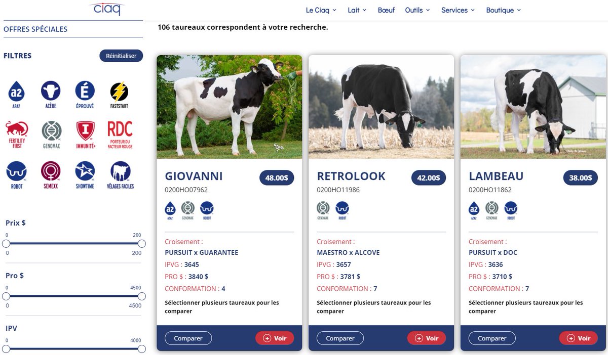 Découvrez la boutique en ligne du Ciaq: ciaq.com boutique