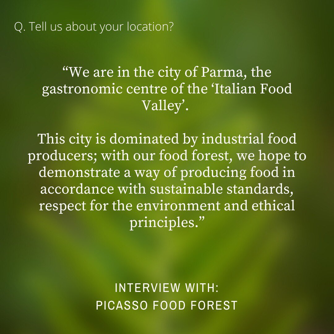 Food Forests Global tweet media