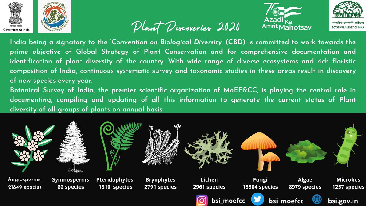 #PlantDiversity of #India stands at 54733 taxa including 21,849 #angiosperms, 82 #gymnosperms, 1310 #Pteridophytes, 2791 #bryophytes, 2961 #Lichens, 15,504 #fungi, 8979 #algae and 1257 #microbes, as per latest release #PlantDiscoveries2020 
@AmritMahotsav @moefcc