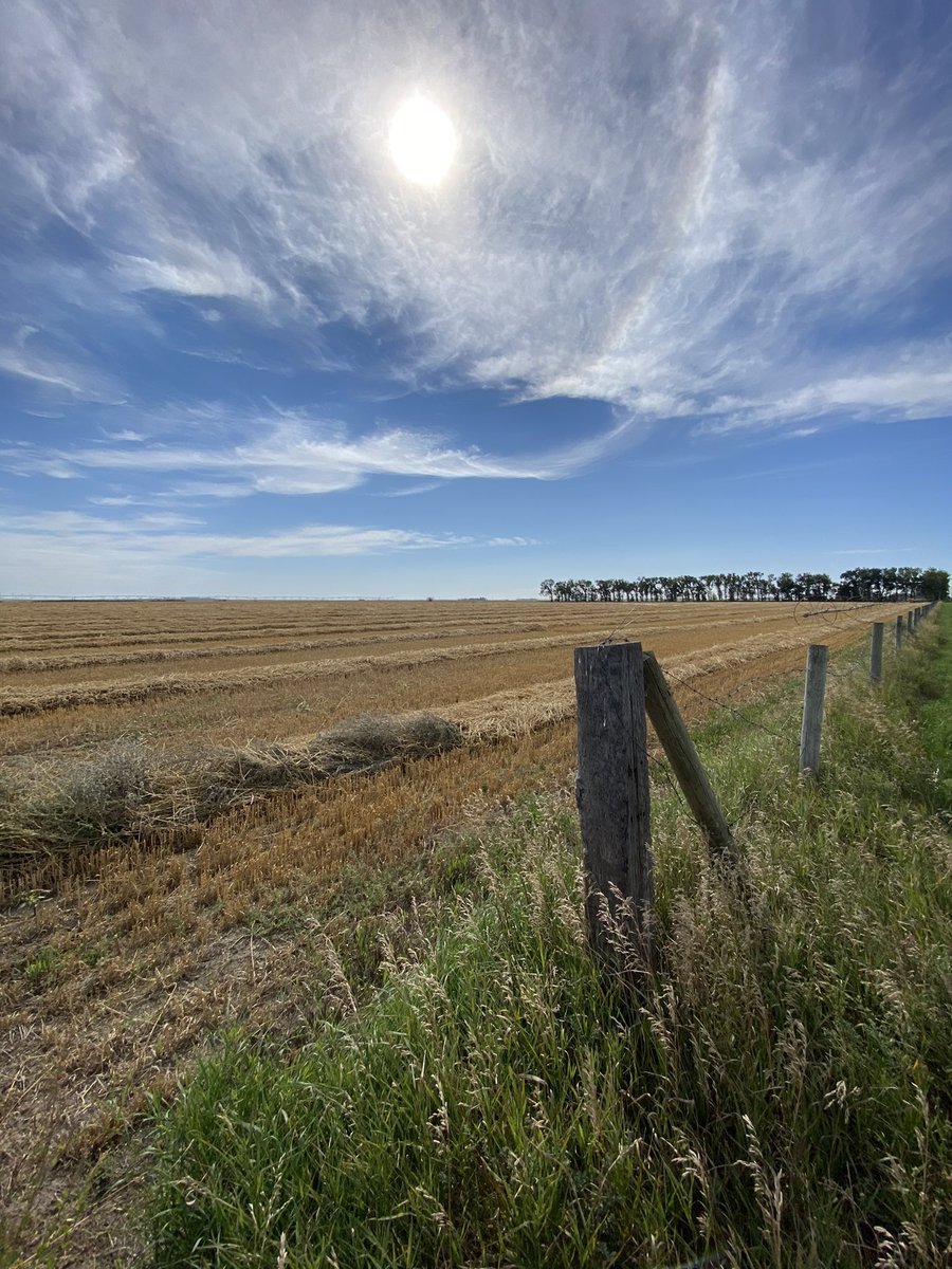 CONTEST TIME! Tweet us your favourite photo from this year for a chance to not only be featured in Nutrien Coaldale’s ‘22 calendar but also for some great prizes. Retweet this for an entry as well. This was a hard year for many but let’s show all the beauty there was as well.