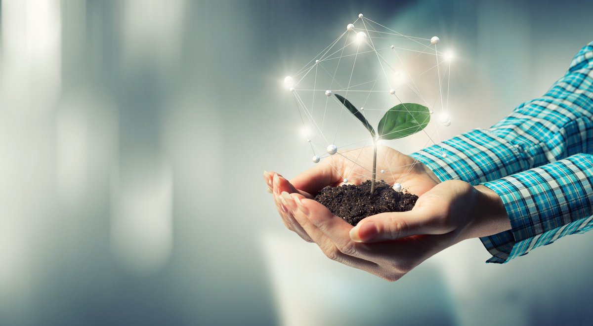 ETSIAMCordoba's tweet photo. 🗣️#MásteresETSIAM | El nuevo Máster de #ProtecciónVegetal de la @Univcordoba 🧫🌱🆙: una alternativa a la formación de técnicos especializados en el sector
#PPMV #MejoraVegetal #etsiam
https://t.co/tOjNEboGcm https://t.co/AqFOMdOfk0
