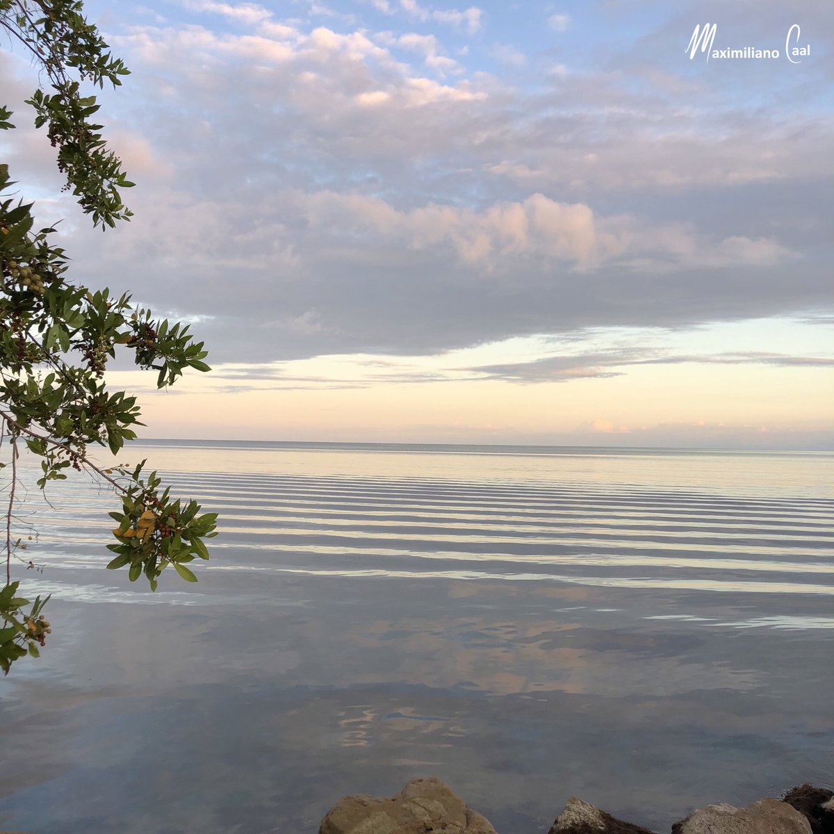 maxi_caal1's tweet photo. What I also really love about PG is its sunrises over the Caribbean Sea! So soothing to the soul...have a wonderful week! 

#belize #puntagorda #caribbean #sunrise https://t.co/Hi617FSNZo