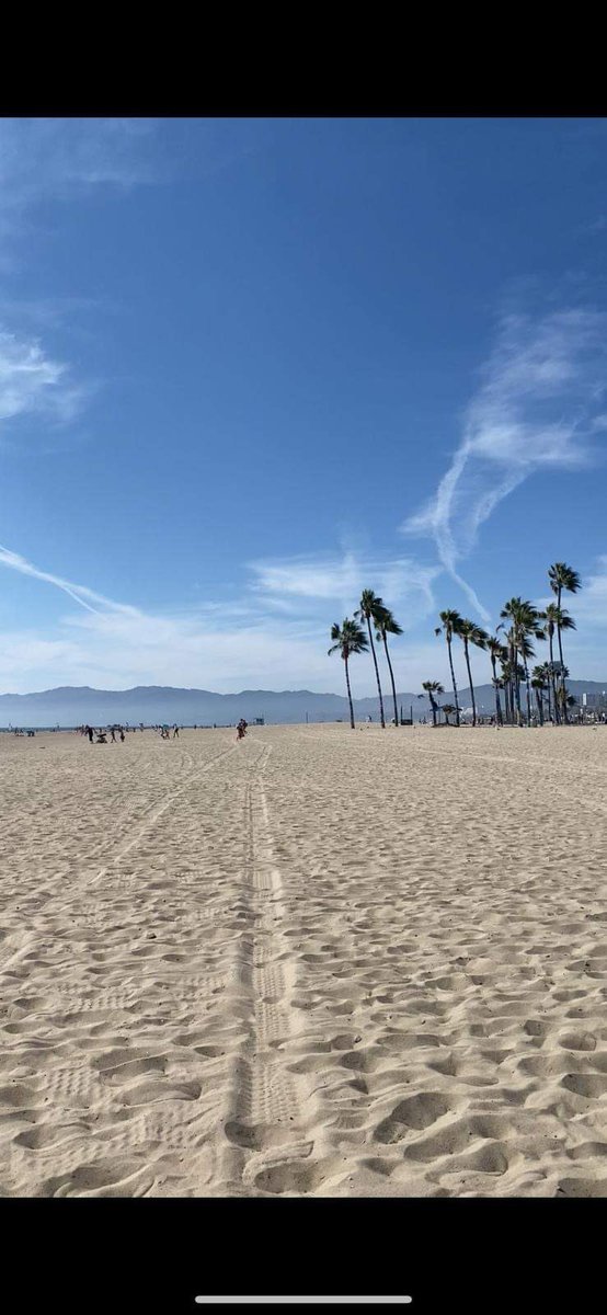 📸 // PHOTOS DE MATTHIAS // 📸
Matthias.C est parti 6 mois en séjour linguistique à Los Angeles et nous partage quelques clichés !